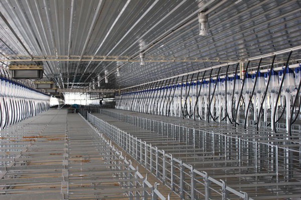 Galvanized gestation stalls