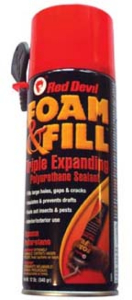 Picture of 12 oz Touch N Foam Can