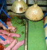 Picture of 30" x 36" Compost-A-Mat® Creep Mat