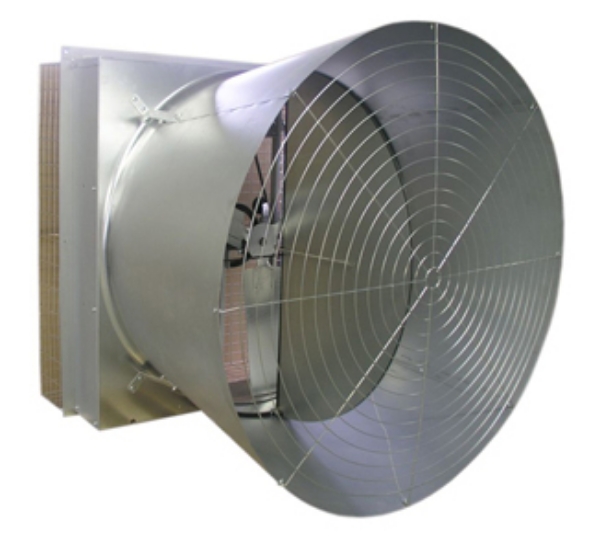 Picture of Windstorm™ 52" Butterfly Fan