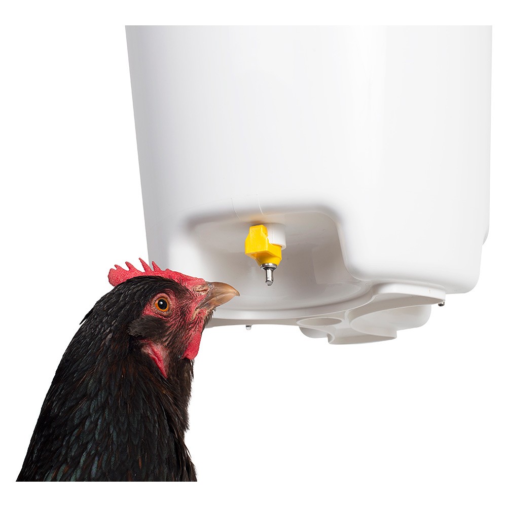 Chicken Drinking Bucket with 3 Nipples Hog Slat