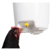 Picture of Chicken Drinking Bucket with 3 Nipples