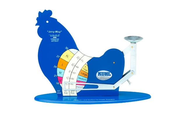 Picture of Egg Grading Scale