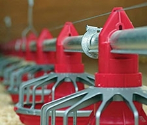 Picture for category Poultry Equipment