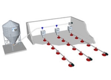 Poultry Feeding Equipment | Hog Slat