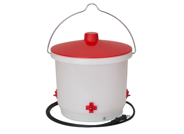 Heated 2 Gal Chicken Water Bucket