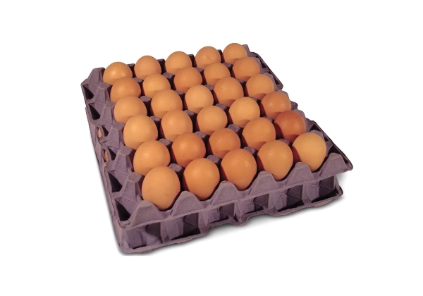 Picture of 30 Egg Cardboard Flats