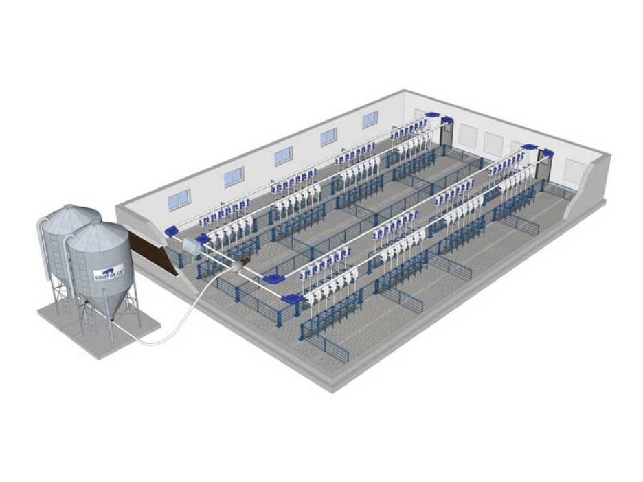 Sow Stanchions Offer Producers Another Choice for Gestation