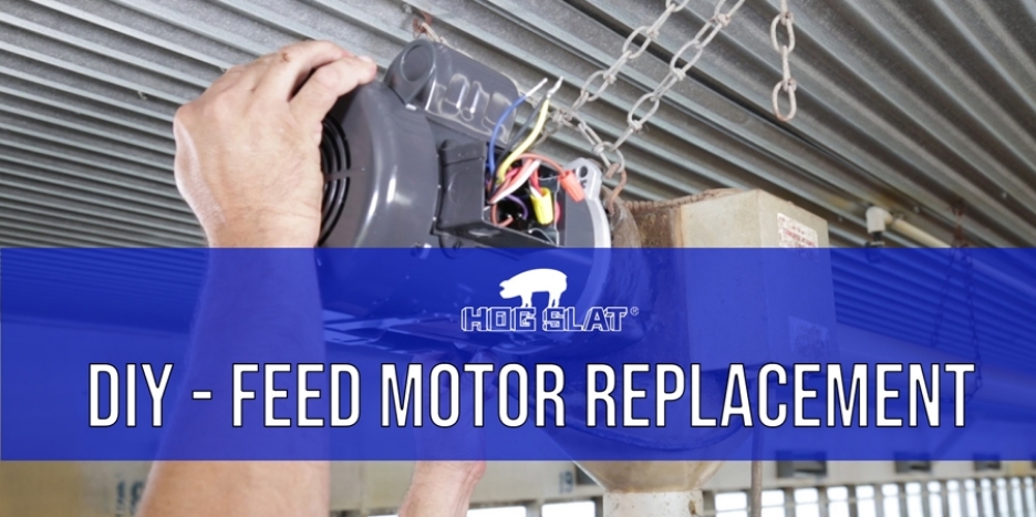 DIY- Feed motor replacement