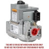 Hog Slat® Electric Gas Valve - LP