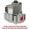 LB White® Gas Valve Guardian® Heaters - LP