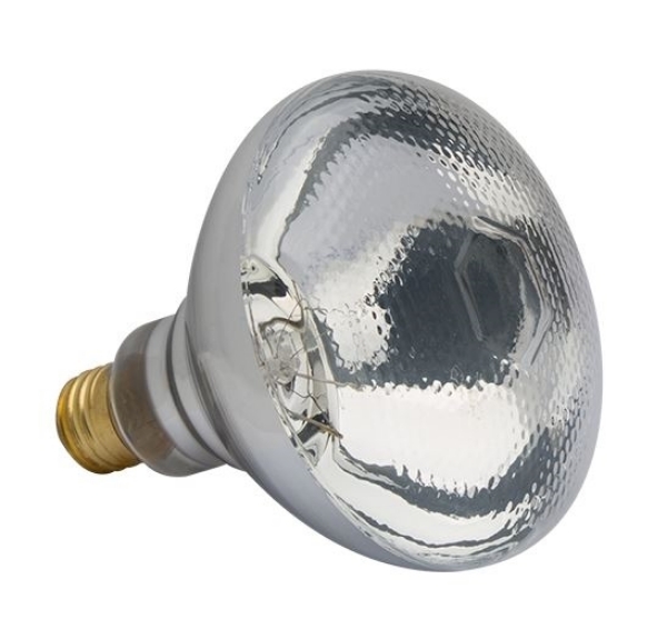 Hog Slat® Dimpled Heat Lamp Bulbs