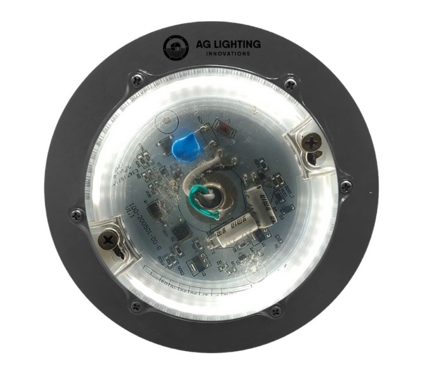 AG 25 LED Light Fixture (5000k)