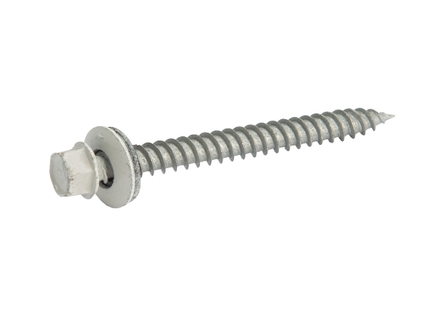 Picture of Screw Bone White 10 X 2"