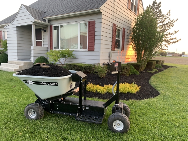 Picture of DM® D-10 Cart w/ Dump