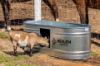 Picture of Behlen Country® 4' Farmstead Steel Oval Tank 