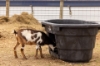 Picture of Behlen Country® 100 Gal Rigid Poly Stock Tank  w/ Drinker