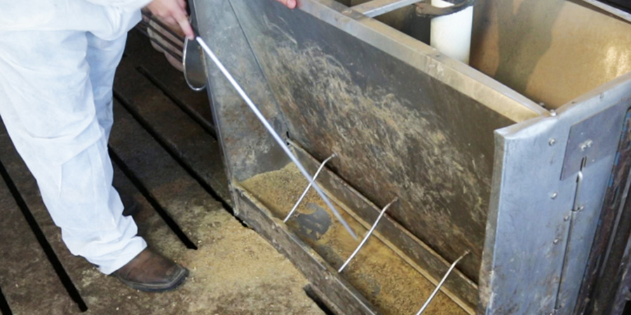 Tools of the trade | Hog Slat