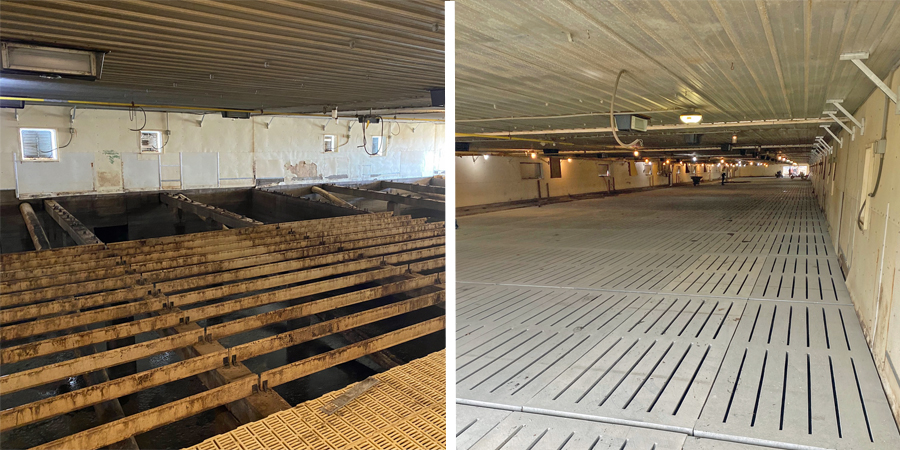 Pig Barn Concrete Slat Flooring Renovation