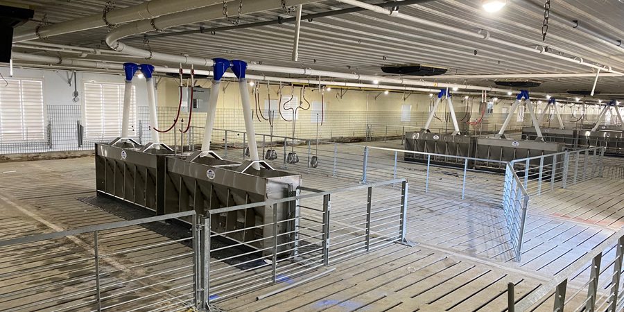 Concrete Slatted Floor in Commercial Pig Barn