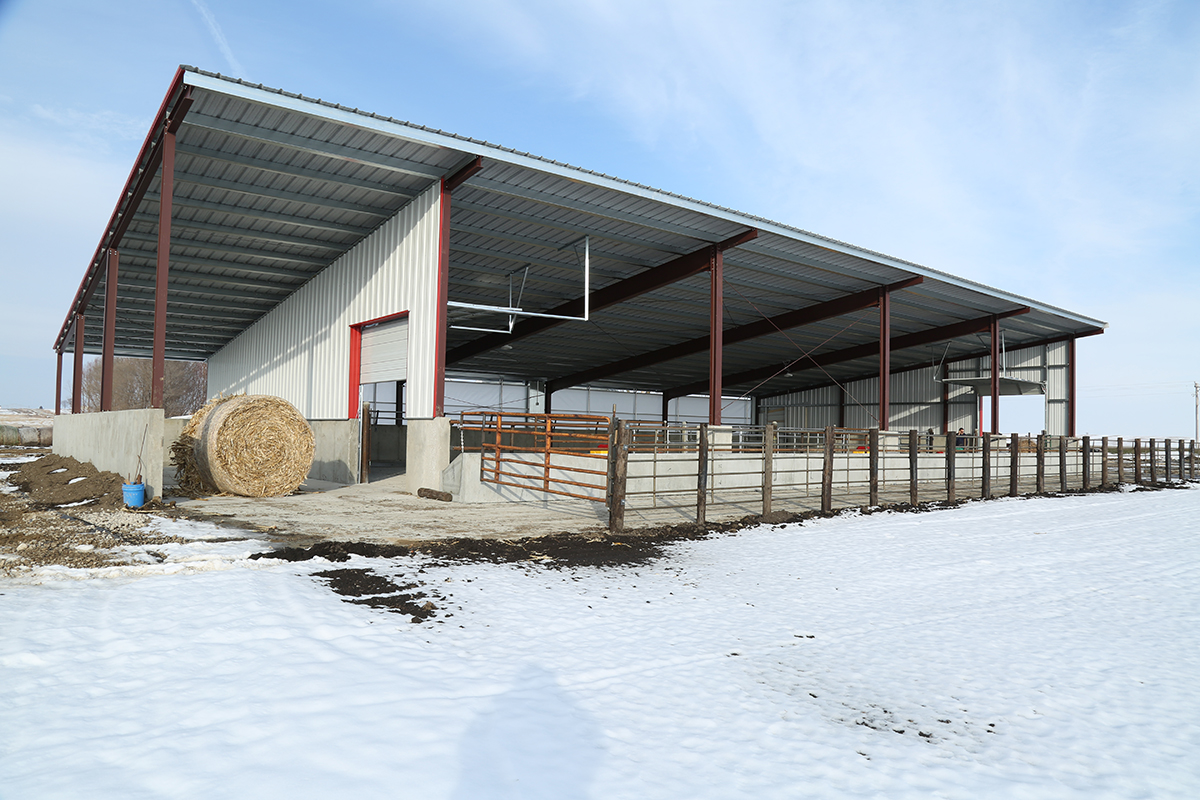 New Construction Midwest Cattle Farm_Hog Slat