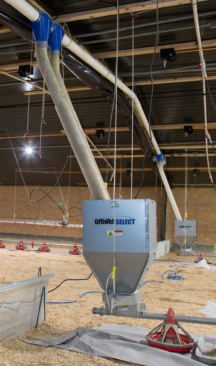GrowerSELECT® Grow-Flex™ fill systems convey feed from the bulk feed bins outside into the barn, supplying each feed line hopper with continuously available feed. The automated system is triggered by hopper level switches installed in each poultry feed line hopper. 