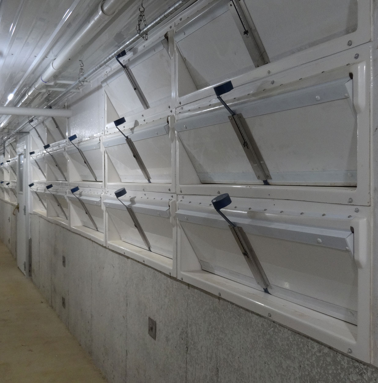 Banks of Hog Slat single wall air inlets can be installed for each farrowing room in a barn; allowing producers to customize and quickly adjust the incoming air flow for each room individually.