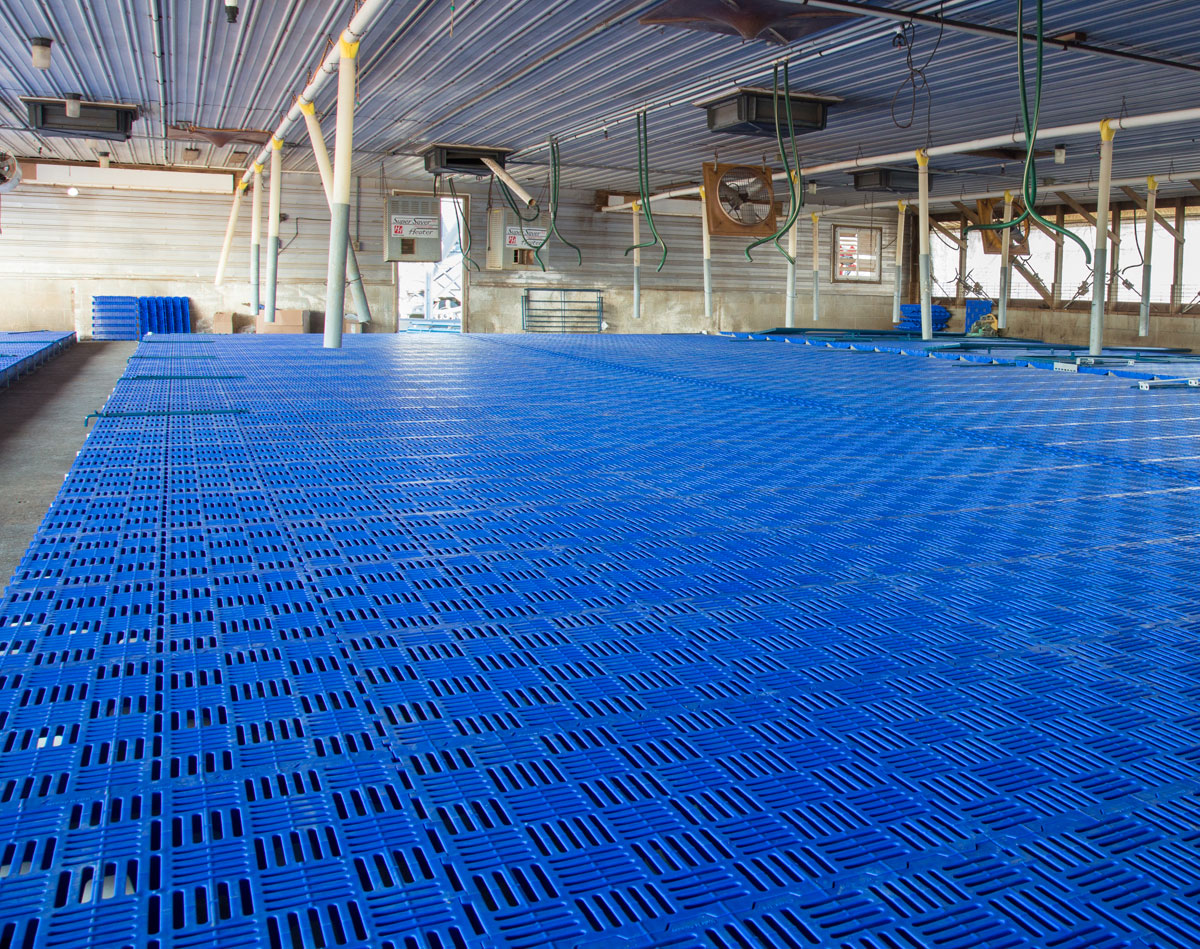 Hog Slat Chess Nursery flooring is available in multiple sizes to meet the needs of almost any building project. The Chess flooring panels being installed in this nursery barn remodel will provide many years of reliable service. 