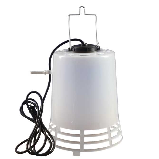 poly-lamp-main