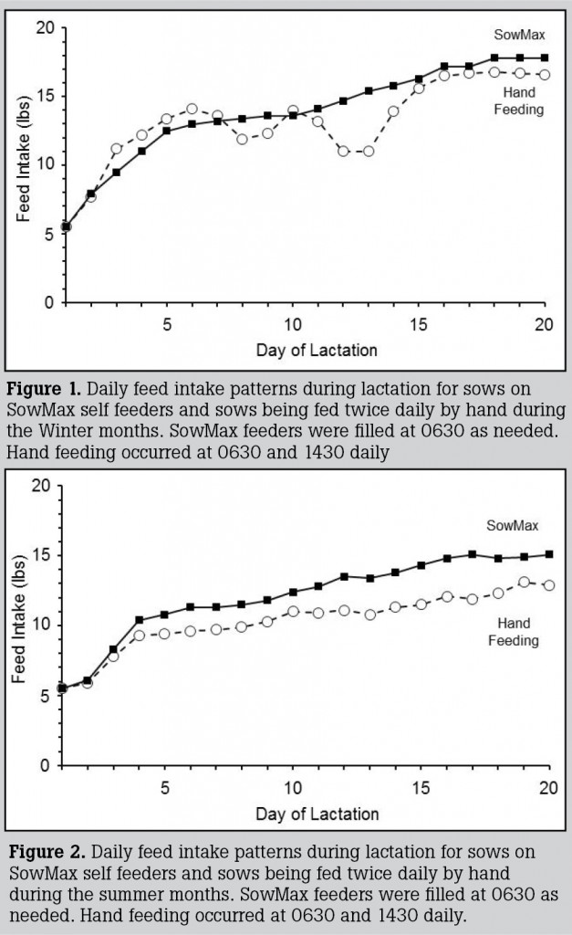 SowMax Feed Intake patterns