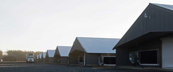 Circle W Ranch with Eight Jumbo Broiler Houses near Everett Sprs., GA.  