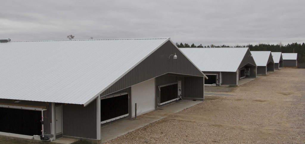 Broiler houses at a Georgia farm. 