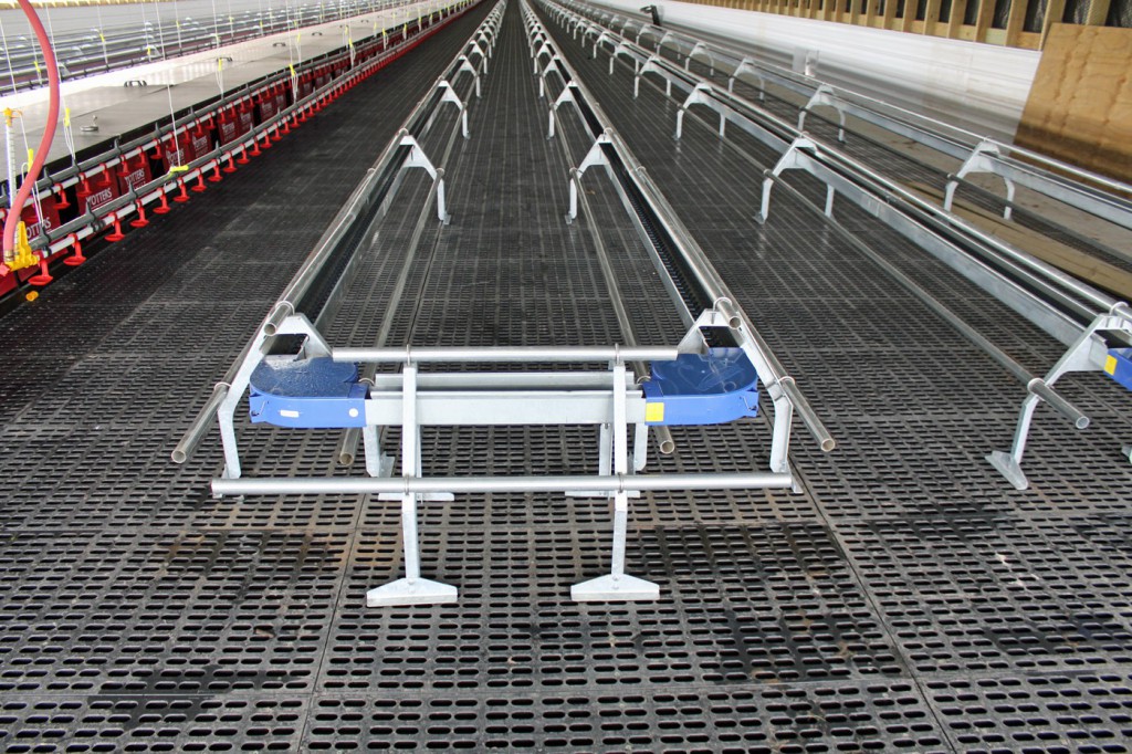 GrowerSELECT chain feeder with additional roost bars