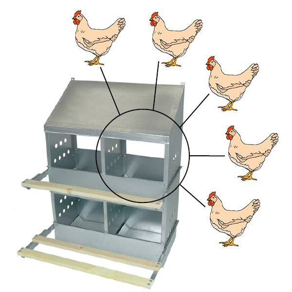 4-Hole-Nest-Illustration-600x600