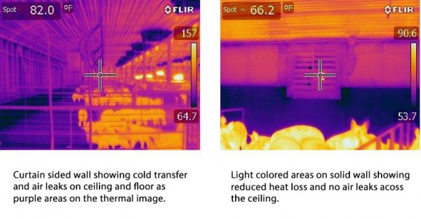 Thermal-images